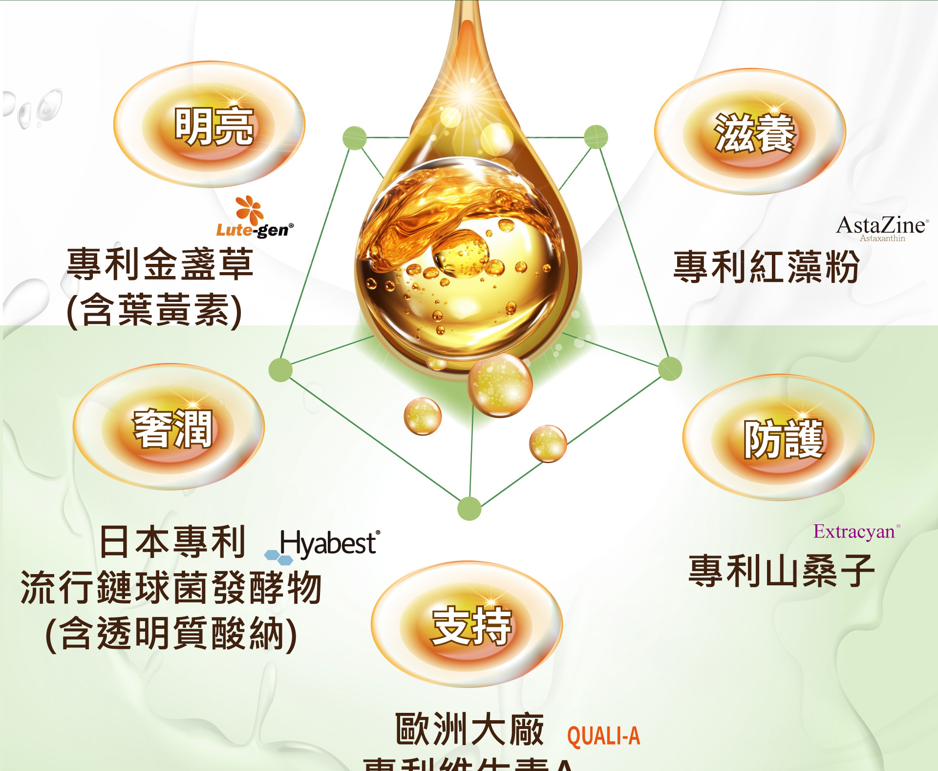 速視清葉黃素膠囊